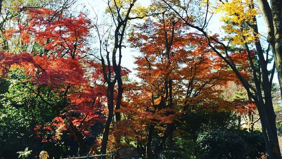 水嶋ヒロのインスタグラム