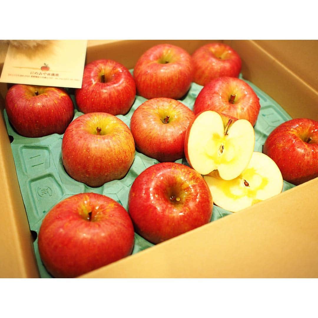 藤本恵理子さんのインスタグラム写真 - (藤本恵理子Instagram)「I order these apples every year.🍎 These are so sweet!! 毎年お取り寄せしている #にのみや林檎園 の林檎が今年も届きました。蜜がたっぷりで美味しい✨ * * #apple #fruit #fruits #applefarm #healthyfood #japaneseapple #sweetapple #🍎 #りんご #林檎 #浅間りんご #お取り寄せ #フルーツ #果物」12月11日 14時12分 - eriko_fujimoto_0802