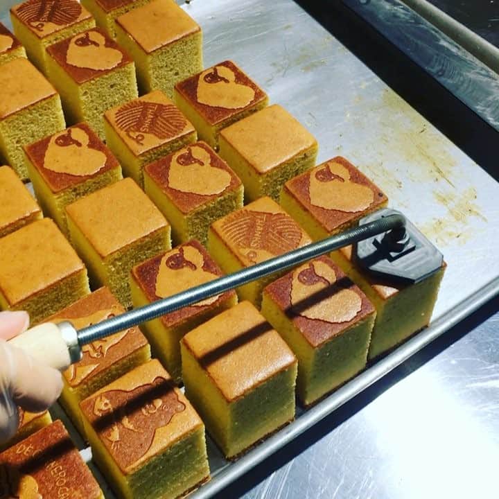 Tomoko Shintaniのグルメインスタ