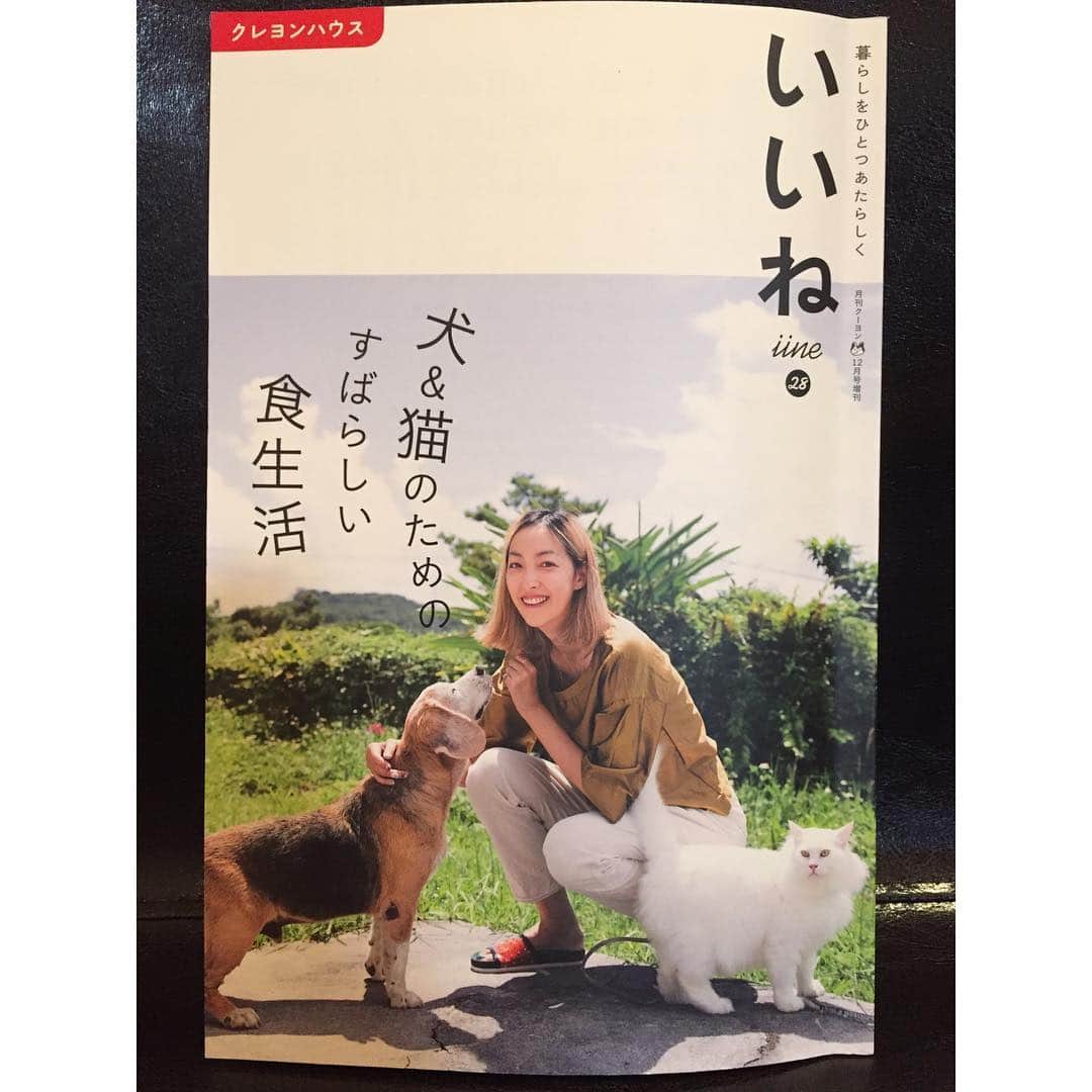 松島花さんのインスタグラム写真 - (松島花Instagram)「: 先日買った雑誌「いいね iine」🐶🐱 「犬と猫と、心地よい暮らし」という 特集の中で'いのちを守る選択を！'と モデルの @_ayumitanabe_  さんが 引き取った保護犬との暮らしの話や.... '殺処分を不要とするために' では 殺処分の現状などか書かれています。  まだまだ続いている猫ブームの中、 その一方でたくさんの猫や犬が  処分されている現実もあります。  私はまだ何も活動をしていないので 偉そうなことは言えませんが... 知らない方へ伝えたい、読んでほしい。  と思ったので載せました。 ペットショップへ行く前に..... 殺処分寸前の動物達を救うという 選択があります。 #雑誌 #いいね #犬 #猫 #殺処分ゼロ #命の期限 #田辺あゆみ さん #クレヨンハウス」12月11日 23時42分 - hana_matsushima_official