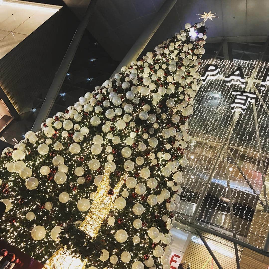 ソニー銀行公式さんのインスタグラム写真 - (ソニー銀行公式Instagram)「シンガポールから、トロピカルクリスマス🇸🇬🎄⭐️ #orchardroad #ソニー銀行 #sonybank #sonybankwallet」12月12日 16時15分 - sonybank_jp