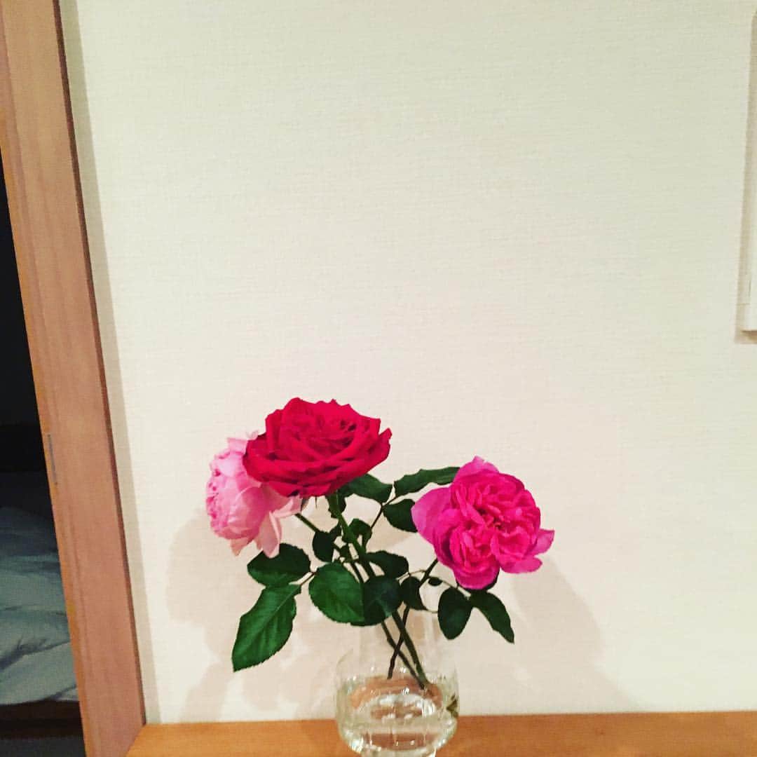 笛木優子のインスタグラム：「天気が良いぜよ〜〜👍🏻🎼💕 良い週末を🌹」