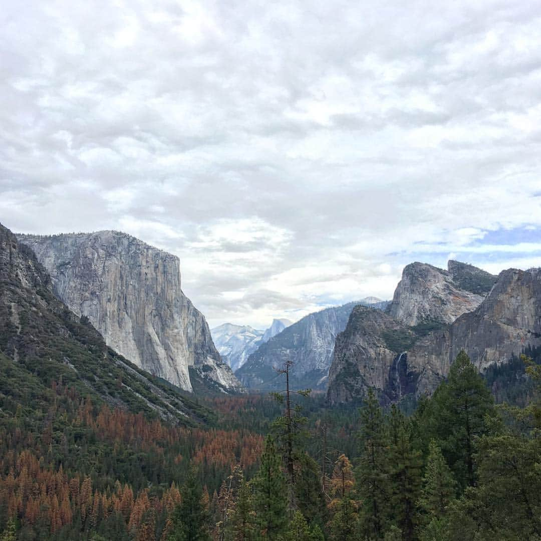 ソニー銀行公式のインスタグラム：「ヨセミテ国立公園 #yosemite #sonybank #ソニー銀行」