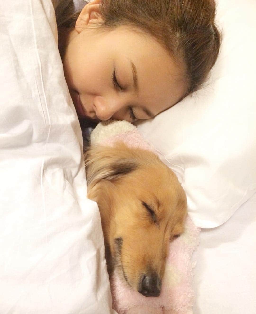 澤田南のインスタグラム：「Good Night…☽˖⁺✩⋆ #おねんねタイム #わんすたぐらむ  #いい夢見れますように」