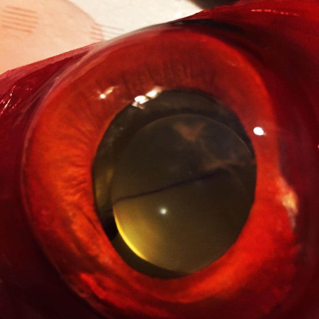 佐藤みゆきのグルメインスタ