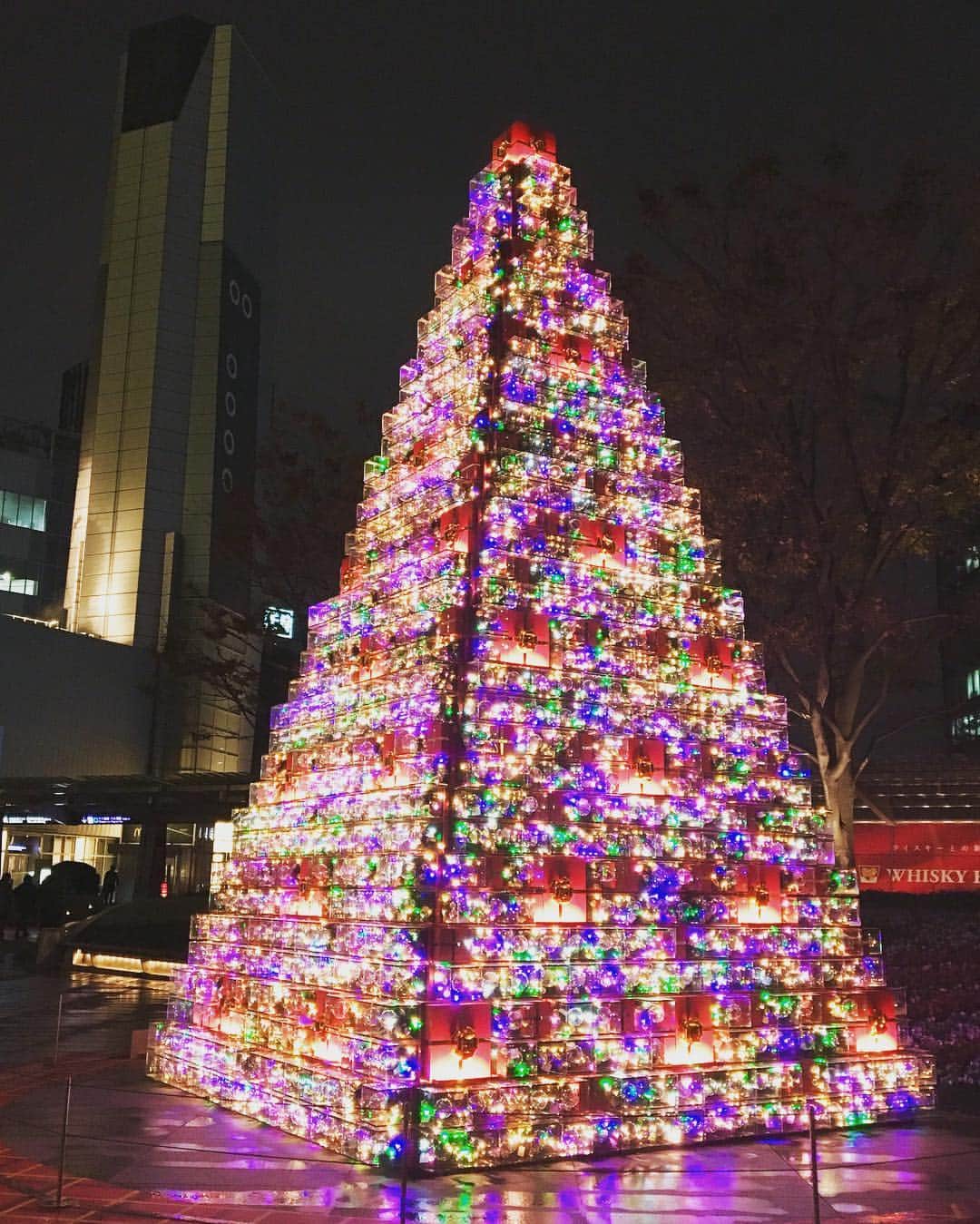 中山美香さんのインスタグラム写真 - (中山美香Instagram)「とある日。つりー。ろっぽん木。  #イルミネーション #クリスマスツリー #illumination」11月22日 22時10分 - mika5nakayama