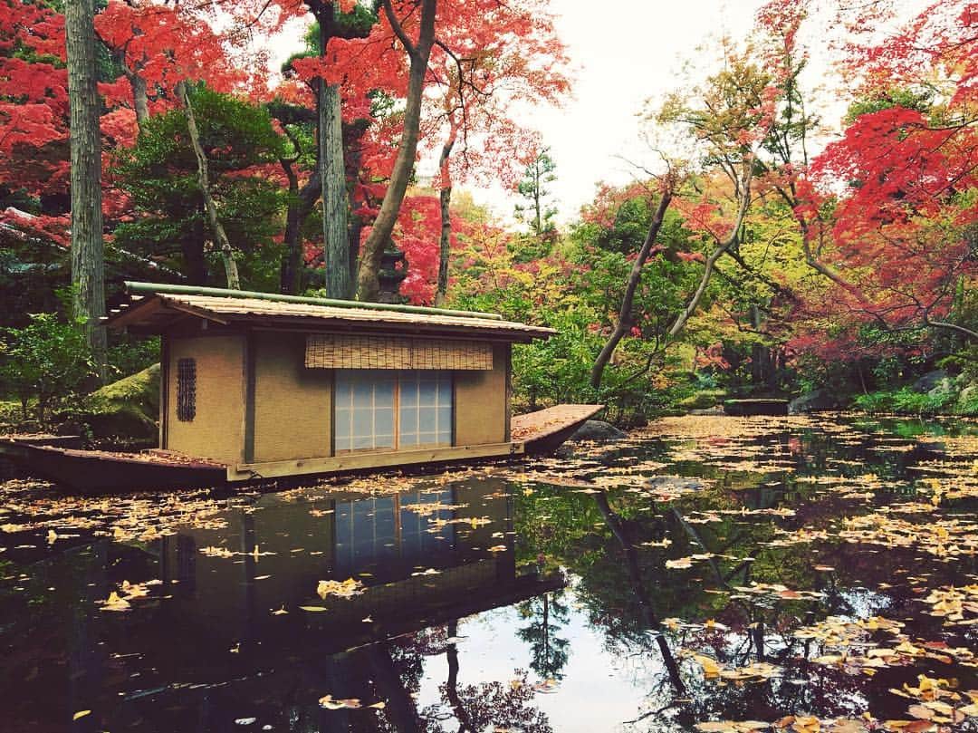 中山美香さんのインスタグラム写真 - (中山美香Instagram)「曇り空。  #おはようございます #今日も笑顔で  #雪降るかな」11月23日 8時43分 - mika5nakayama