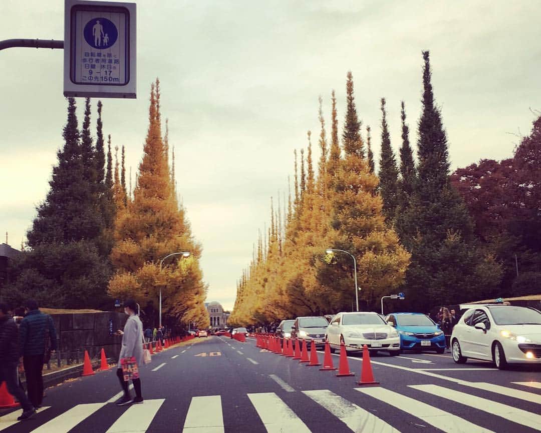 笛木優子のインスタグラム：「明日、ほんとに雪が降るのでしょうか☃️ 通勤通学、みなさん気をつけて下さいね🌟 おやすみなさい🍁」