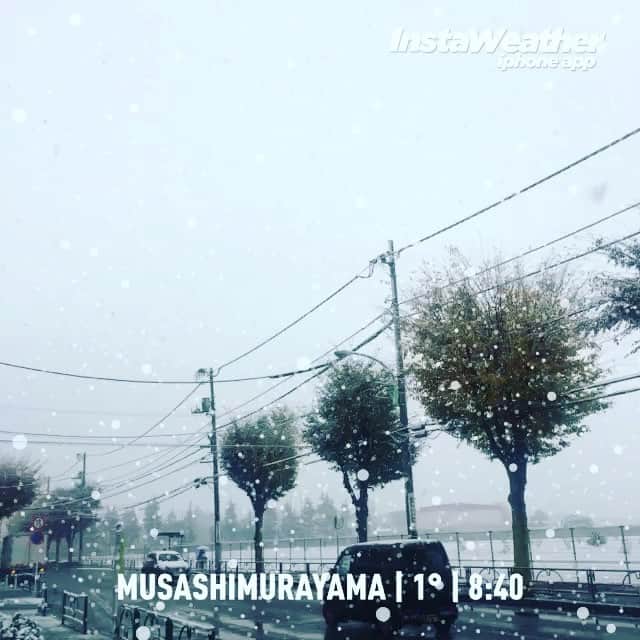 小森高博のインスタグラム：「初雪」