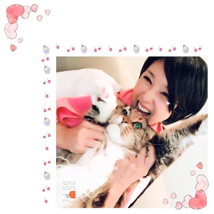 黒木瞳さんのインスタグラム写真 - (黒木瞳Instagram)「* ** 初雪の日に、猫とわたし🐈🌙 #初登場の我が家のキャロちゃん#略さないとキャロット#人参✌️ ** #初雪#猫#黒木瞳#hitomikuroki」11月24日 16時31分 - hitomikofficial