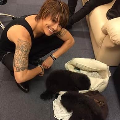 EXILE TAKAHIRO（なりきり）のインスタグラム：「最近投稿できていなくてすみません！ 久しぶりということで、久しぶりの写真を添えます(笑) AOSでの撮影の時の写真です😂 犬ってめちゃめちゃ可愛いですよね♡  #子犬ちゃん #TAKAちゃん #AOS #撮影 #結構前 #TAKAHIROいい感じに笑ってます笑」