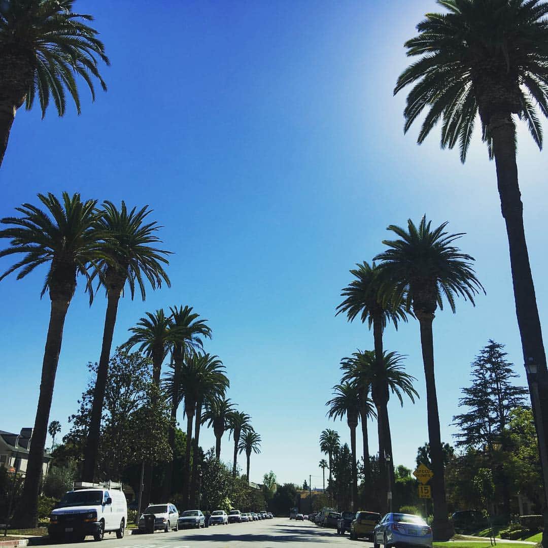 ソニー銀行公式さんのインスタグラム写真 - (ソニー銀行公式Instagram)「ロサンゼルスの高級住宅地🌴 #ソニー銀行 #sonybank #losangeles」11月28日 13時30分 - sonybank_jp