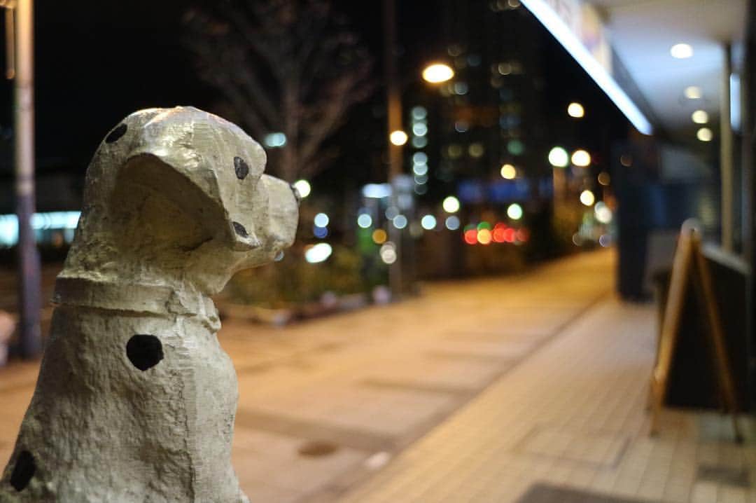 山口夕輝のインスタグラム：「… △まだこない … … … #ファインダー越しの私の世界  #写真好きな人に認知もらいたい #camera #canon #canoneosm3 #coregraphy #photooftheday #webstapick #nmb48 #idol #ig_japan #Japan」