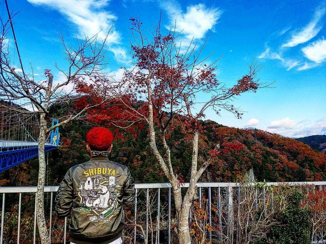 あっくんさんのインスタグラム写真 - (あっくんInstagram)「俺の髪の毛と紅葉ピッタリやん！ I love japan. My hair is autumnal tints. #竜神大吊橋 #ryujin_bridge」11月29日 15時09分 - akkun_shibuya