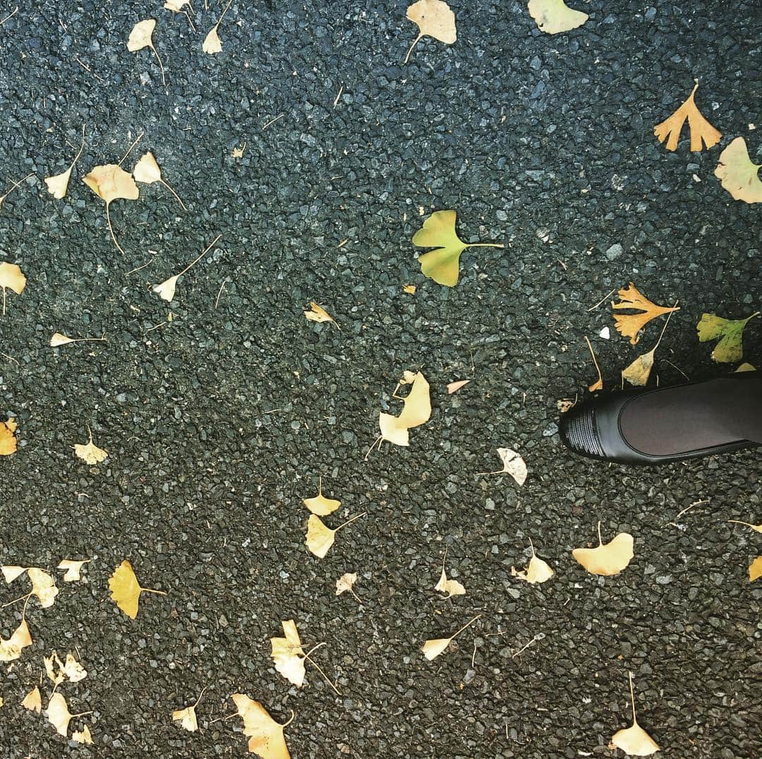 近藤英恵さんのインスタグラム写真 - (近藤英恵Instagram)「落ち葉いっぱい #秋ですね #いちょう #落ち葉🍂」11月30日 15時34分 - hanachan93