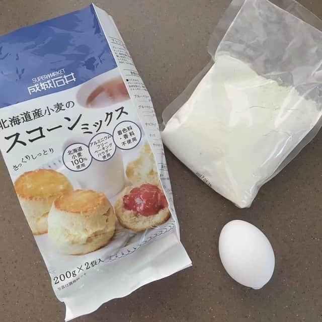 チョコミント大学生うしくろのインスタグラム