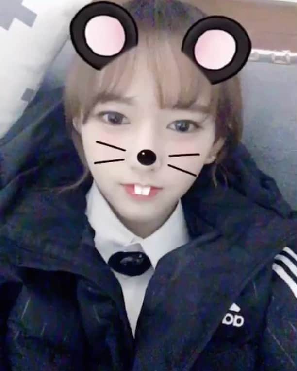 ソンソのインスタグラム：「치즈치즈 앙앙앙~~ ㅋㅋㅋ  겨울겨울 추워요~ ㅋㅋㅋ cold😢 冷😢」