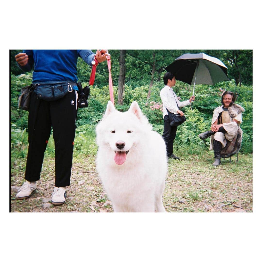 木南晴夏さんのインスタグラム写真 - (木南晴夏Instagram)「今夜のヨシヒコも お楽しみに。 サモンとは 犬飼さんちの犬からの 再共演。 かわいすぎて 癒されまくり。 #うしろの宅麻さん #サモンより癒される笑顔」12月2日 21時55分 - kinamitopan