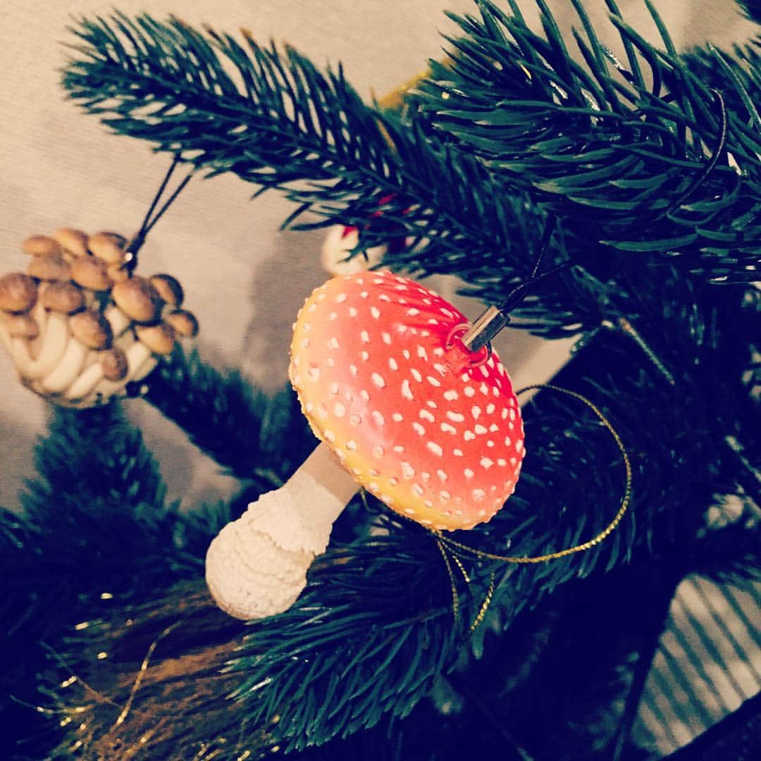 池澤春菜のインスタグラム：「今年もきのこクリスマスツリーの季節がやってまいりましたなぁ。ツリーを新調したので、なんか新鮮꒰*´∀`*꒱ #クリスマスツリー #きのこ」