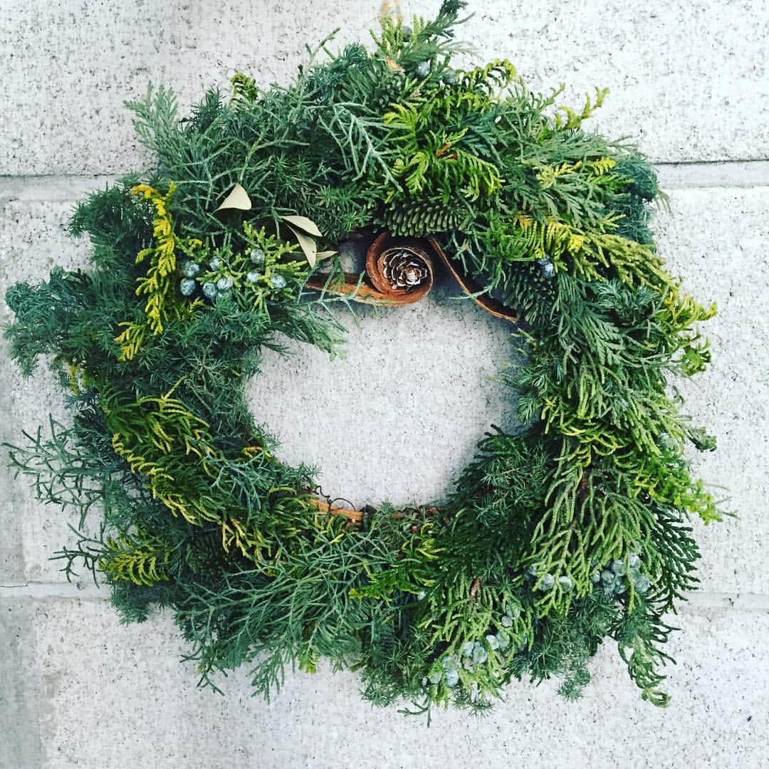 Kaneyasuのインスタグラム：「クリスマスリースつくった  #plants #クリスマスリース #クリスマス #christmas #christmasdecorations」