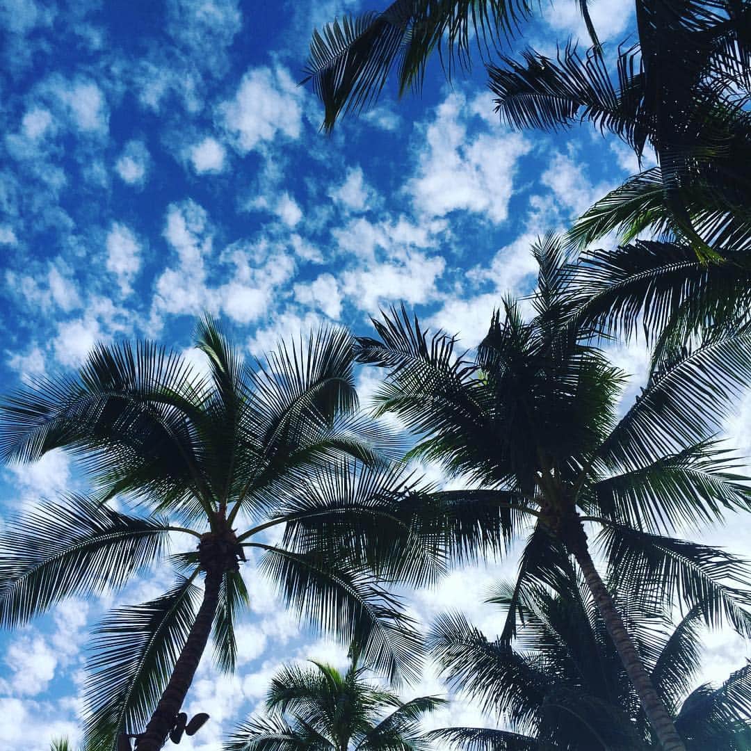工藤まやさんのインスタグラム写真 - (工藤まやInstagram)「GM🌴 #Hawaii #palmtree #instadaily #hilife」12月3日 8時27分 - mayahawaii325