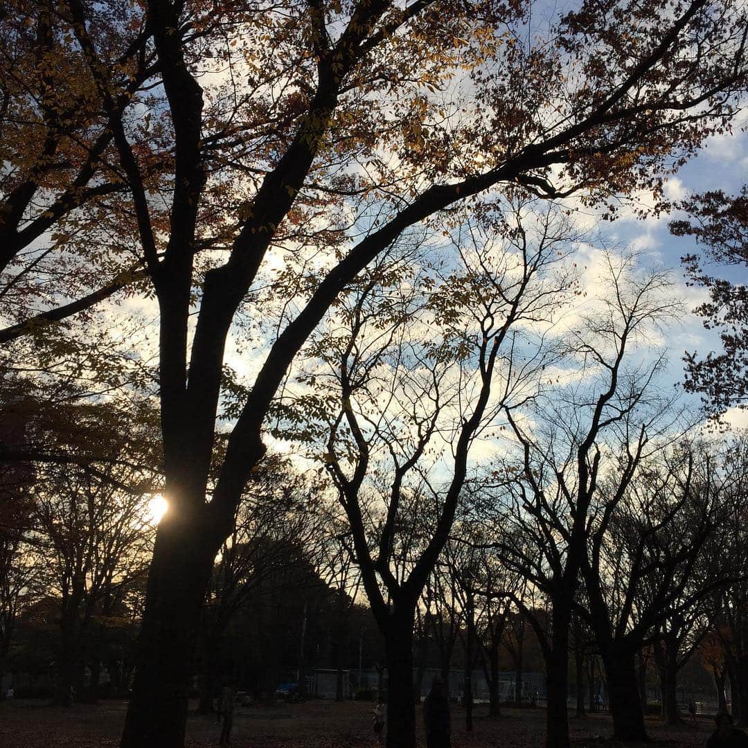 長谷川京子さんのインスタグラム写真 - (長谷川京子Instagram)「落ち葉の絨毯🍂 最高の秋日和でした。 .....あ、もう冬でしたね😅」12月4日 1時29分 - kyoko.hasegawa.722