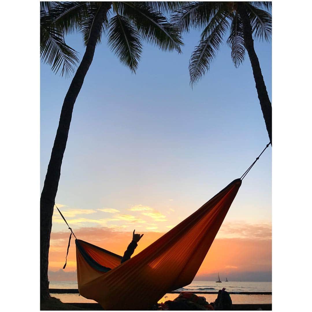 ウィットニー・バンスのインスタグラム：「Room with a view 🌴🌺」