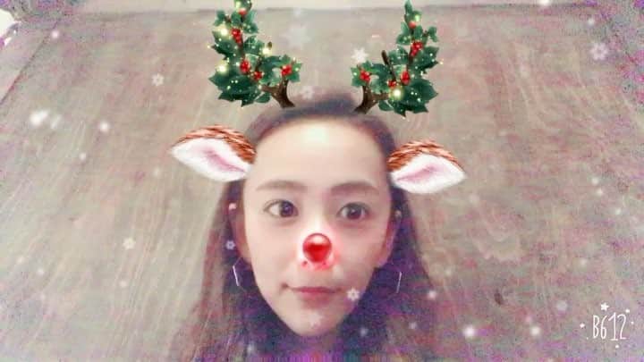 のインスタグラム：「まだ早い❤️💚❤️💚 #12月 #winter #冬 #クリスマス #トナカイ #カメラ #アプリ #すごい #つけ麺 #高橋 #おいしい」