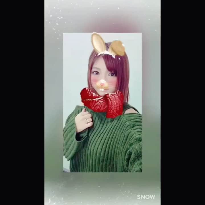 星野ナミのインスタグラム：「What did you ask Santa for ?o-<:-{{{ ⋆ サンタさんに何お願いしたと？🎅」