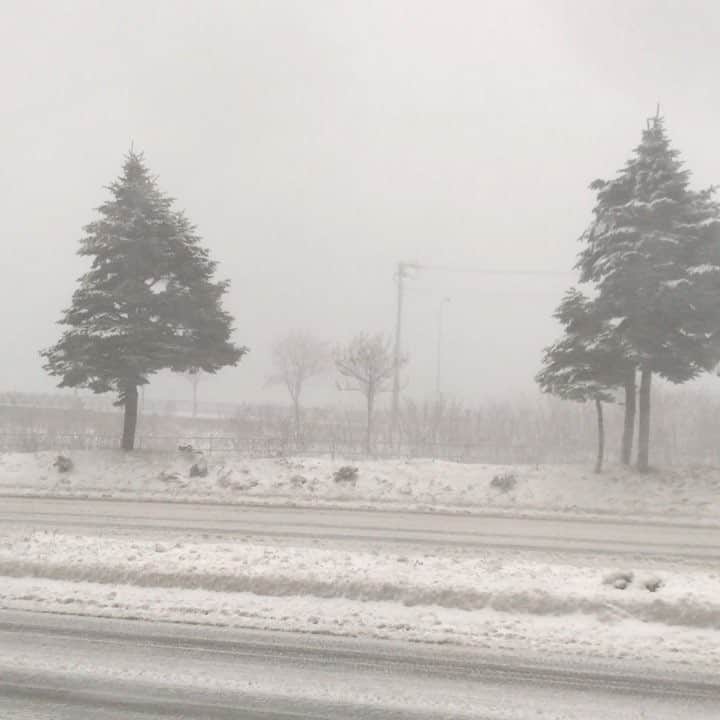 虎南有香のインスタグラム：「☃️yesterday☃️ ☃️昼間の天気☃️ 🌪❄️🌪❄️🌪❄️」