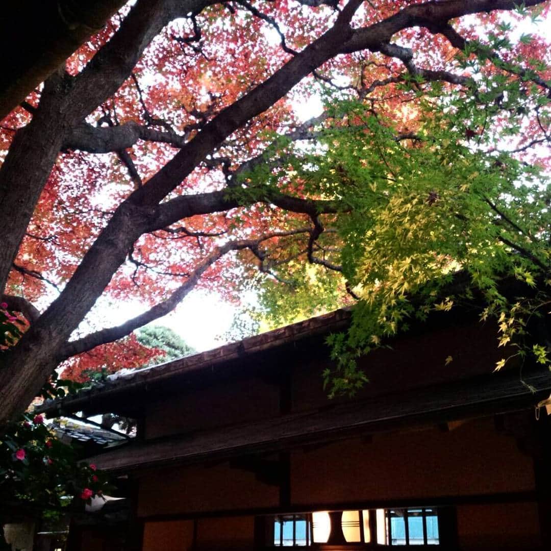 THE KAWABUN NAGOYA | 河文のインスタグラム