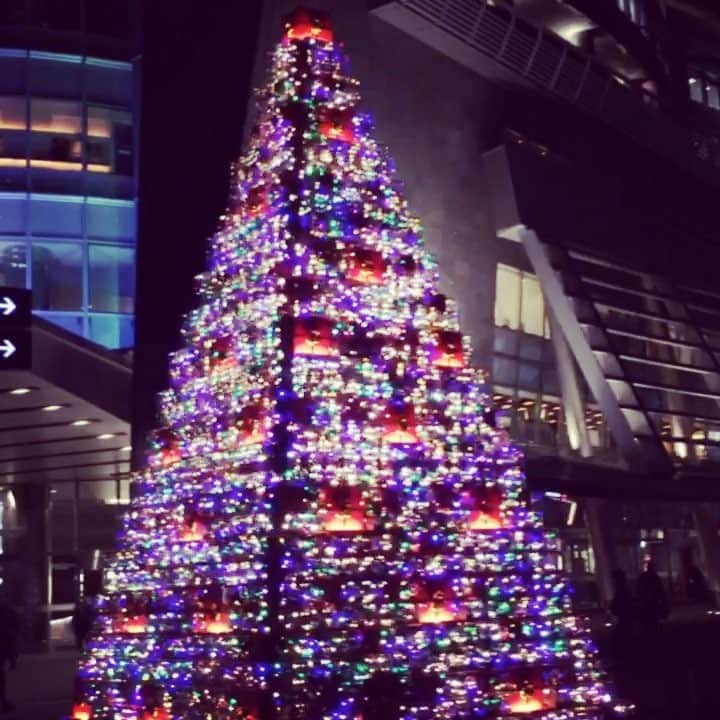 HILLS LIFE DAILYのグルメインスタ