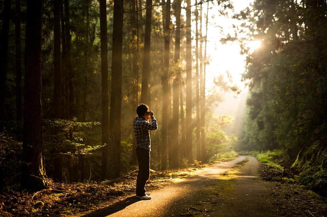 オムのインスタグラム：「* * Light falls. -願いがもしも叶うなら- * * 日々過ぎていく時間を嬉しく感じる平日と、過ぎていく時間の早さを感じる休日。 * そんなもん。 * * * ゆるく生きたい、神っていたい。 ※ ※ ※ #instagramhub #indies_gram #ig_worldclub #instaaaaah #instamood #instagood #igersjp #livefork #lovers_nippon 広島県 #nature_brilliance #Nikon_Photography_ #NatureAddict #nikonphoto_ #photowall #special_shots #shotaward #special_shots #tokyocameraclub  #team_jp_ #team_jp_西 #Visual_awareness #webstapick #東京カメラ部 #写真好きな人と繋がりたい #ファインダー越しの私の世界 #ダレカニミセタイケシキ」