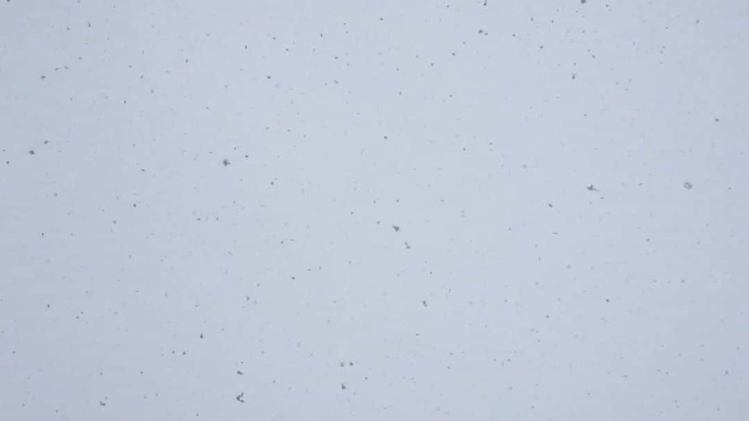 ウィラ・ホランドのインスタグラム：「❄️」