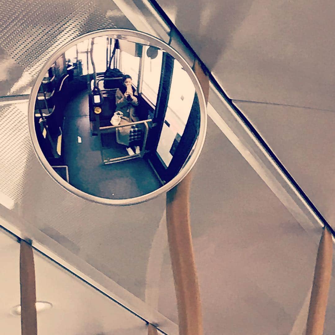 MEGのインスタグラム：「年末年始で必要証書が遅れて揃わず、またもや資格試験が延期になったなり。ぽつーん。#🇬🇧bus」
