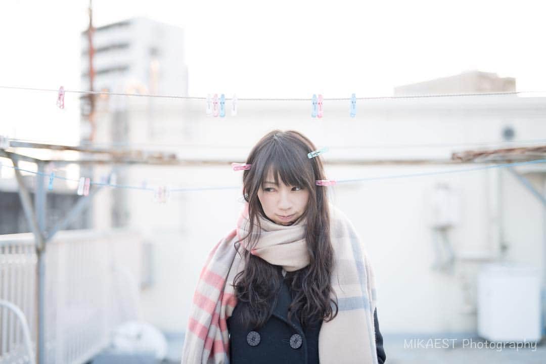 mikaestのインスタグラム：「New Year's @momopon "キミの洗濯物になりたい" * 新年初ぽん お正月早々、洗濯バサミを付けられてとっても不満げww * * ポンポンエーピーの動画の再生回数が 2,800回を超えているのですがw、 えっ、なに、みんな、 朝起きたら一回は見ているの？？（笑） *」