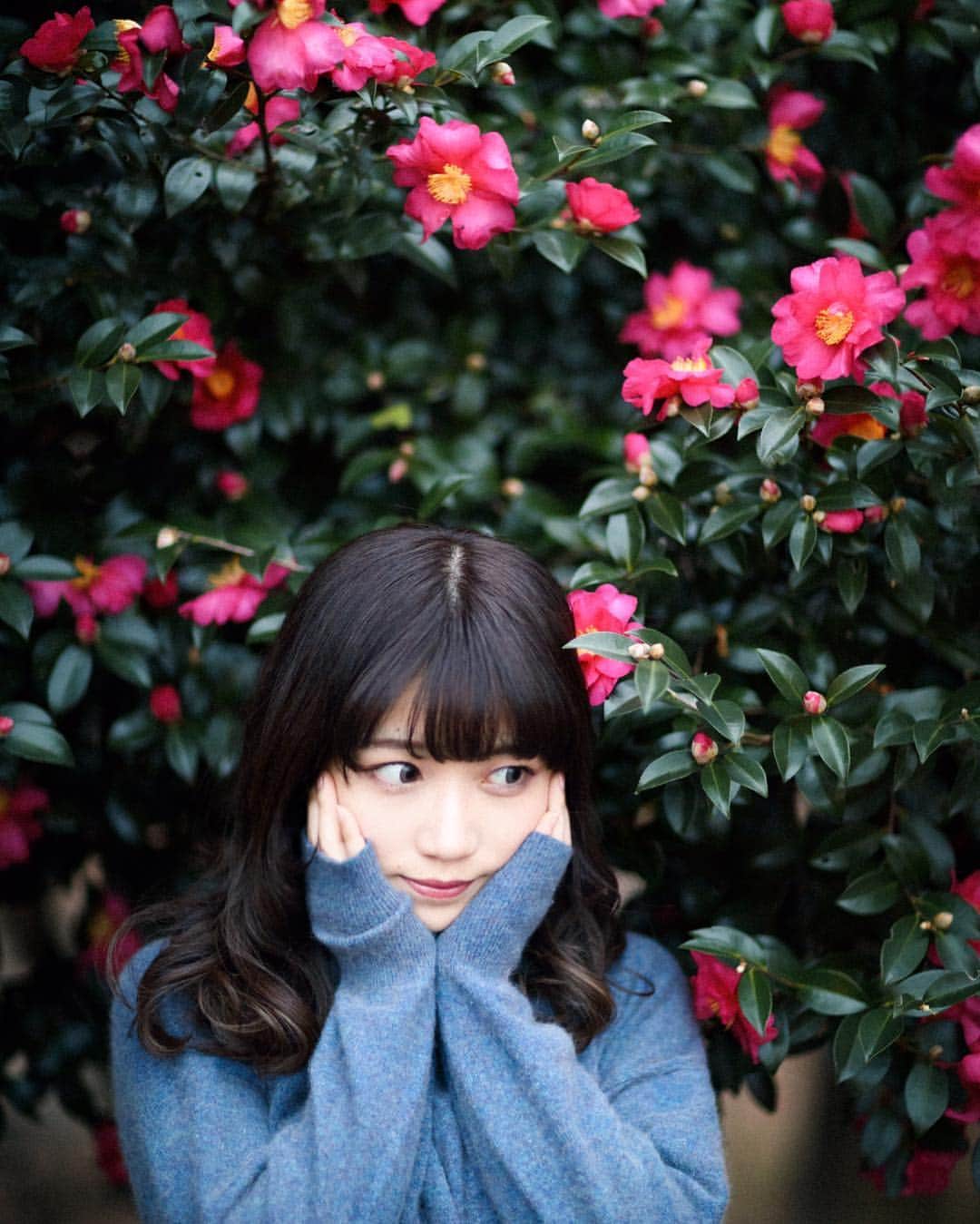 のインスタグラム：「ゼニガメっぽくない？#portrait#icon#ゼニガメが好きなだけ」