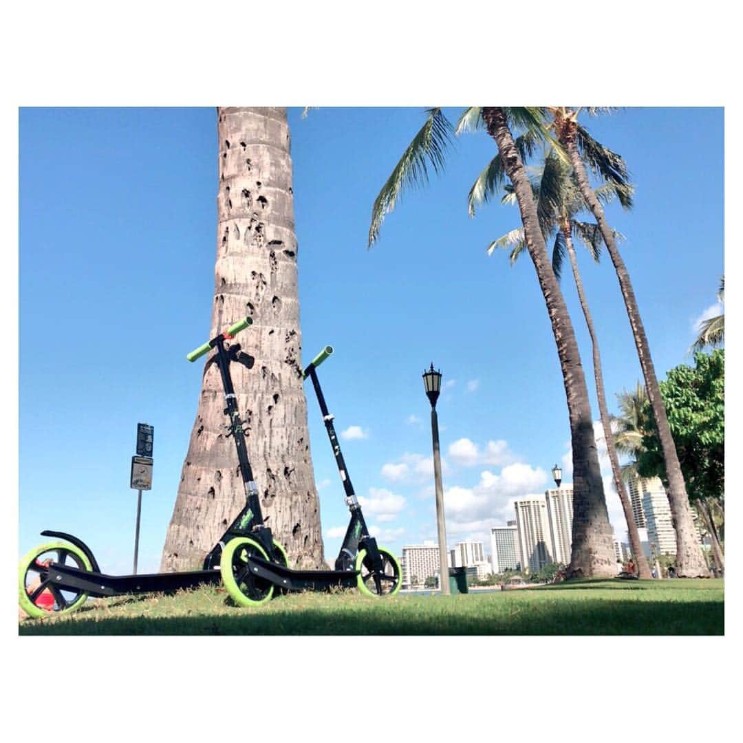 小嶋千尋のインスタグラム：「・ ・ 久しぶりのインスター😍 Twitterばっかりでした💦 いろいろ仕様が更新されてる🤔💓w コメントやフォローしてくれた皆様ありがとうございます😍🙏🏻 めっちゃ忙しかったハワイ生活もひと段落したよ〜。ハワイpicアップしよ〜😍 ・ ・ #hawaii #hawaiilife #ハワイ」