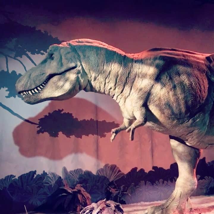 MEGのインスタグラム：「平日行くと凄いすいてる、ダイナソーと１対１。 手、ちっさい。  #dinosaur」