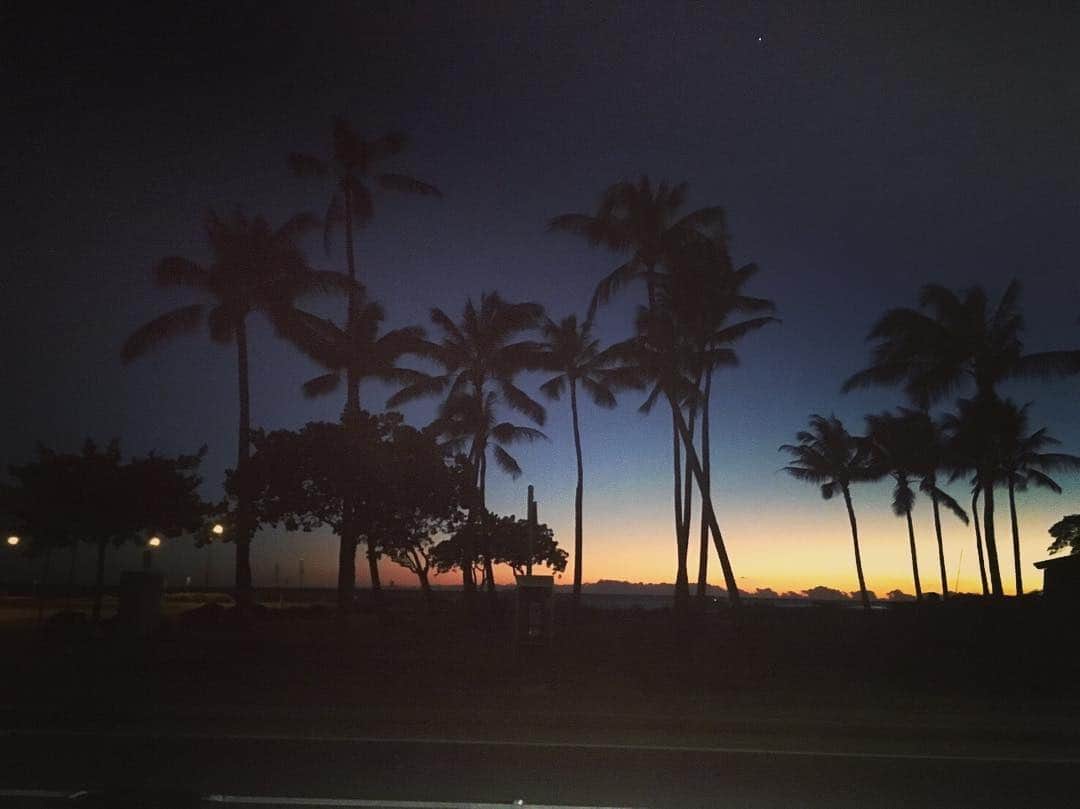 加織のインスタグラム：「🌴🌴🌴」