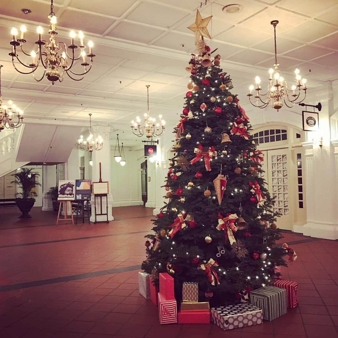 ソニー銀行公式のインスタグラム：「シンガポール、Raffles Hotel 有名なホテルのロビーのツリー🎄⭐️🇸🇬 #sonybank #ソニー銀行」