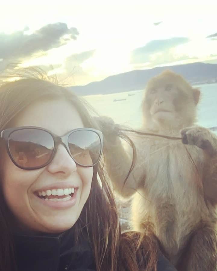 Azzyのインスタグラム：「I went to visit Harambes hairdresser today 🐒」