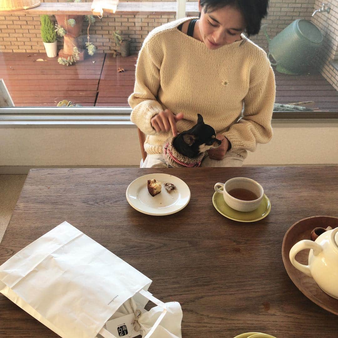 のインスタグラム：「おひさしぶりの ひじりちゃん！ いつもの笑い声、うれしいー。 . ※伝言 タロー屋さん! シュトーレン 頂きましたー！ヽ(；▽；)ノ」