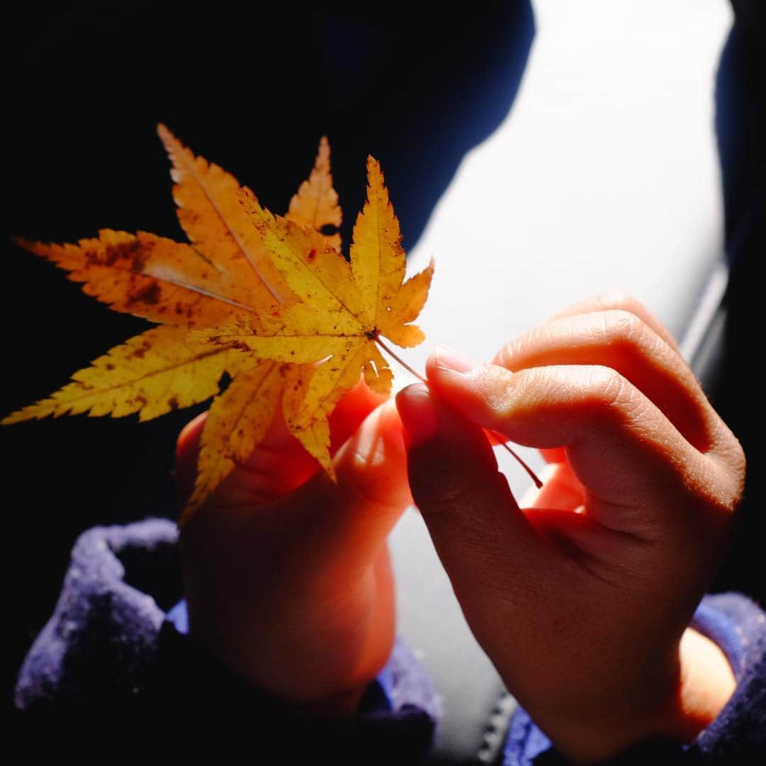 平祐奈さんのインスタグラム写真 - (平祐奈Instagram)「小さなお手手とおてて。 明るい未来がまってるね🍁#4歳の甥っ子」12月18日 18時34分 - yunataira_official