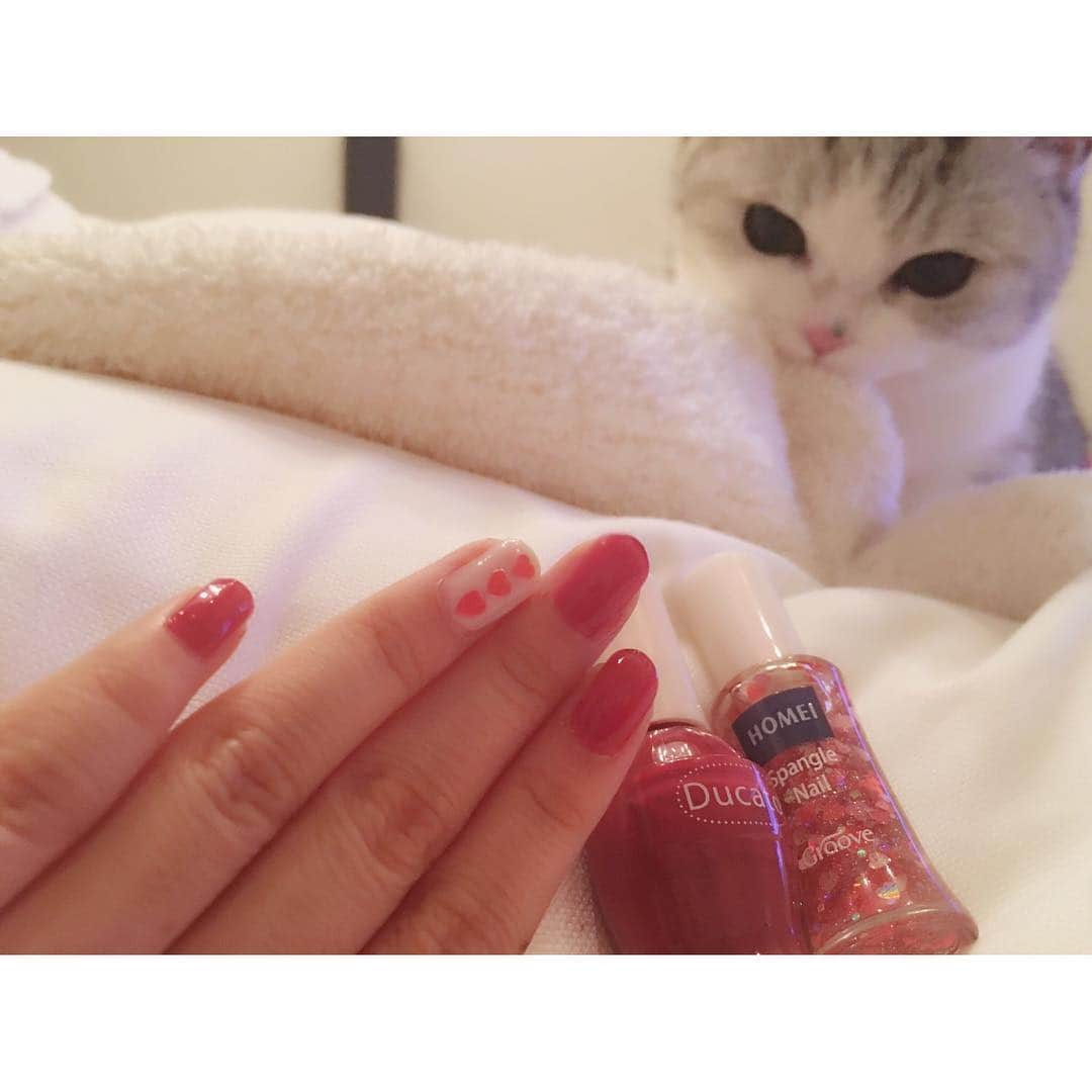 指原莉乃さんのインスタグラム写真 - (指原莉乃Instagram)「ネイルも見せたいし猫さんも見せたい。笑 ducatoのマイバレンタインとコンデンスミルク。HOMEIのフェロモン中毒のハートを３つ。  #セルフネイル #homei #ducato #猫」12月19日 0時08分 - 345insta