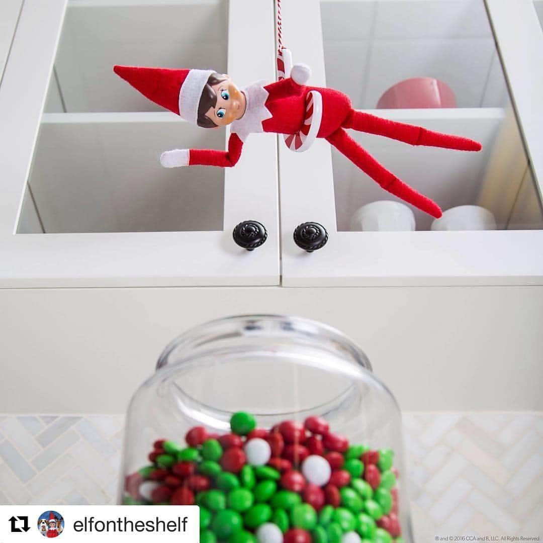 プラザ/PLAZAさんのインスタグラム写真 - (プラザ/PLAZAInstagram)「#elfontheshelf #エルフオンザシェルフ #エルフ  エルフと楽しいクリスマスを！  #Repost @elfontheshelf with @repostapp ・・・ This elf is on his sweetest mission yet! #ScoutElfIdeas #ElfontheShelf」12月19日 7時57分 - plazastyle