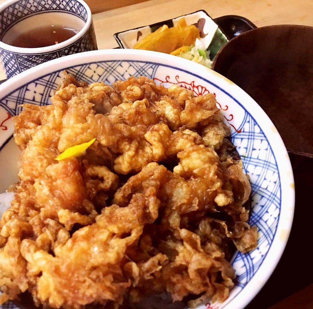 馬場典子さんのインスタグラム写真 - (馬場典子Instagram)「てんどーん！」12月19日 15時25分 - baba_channel
