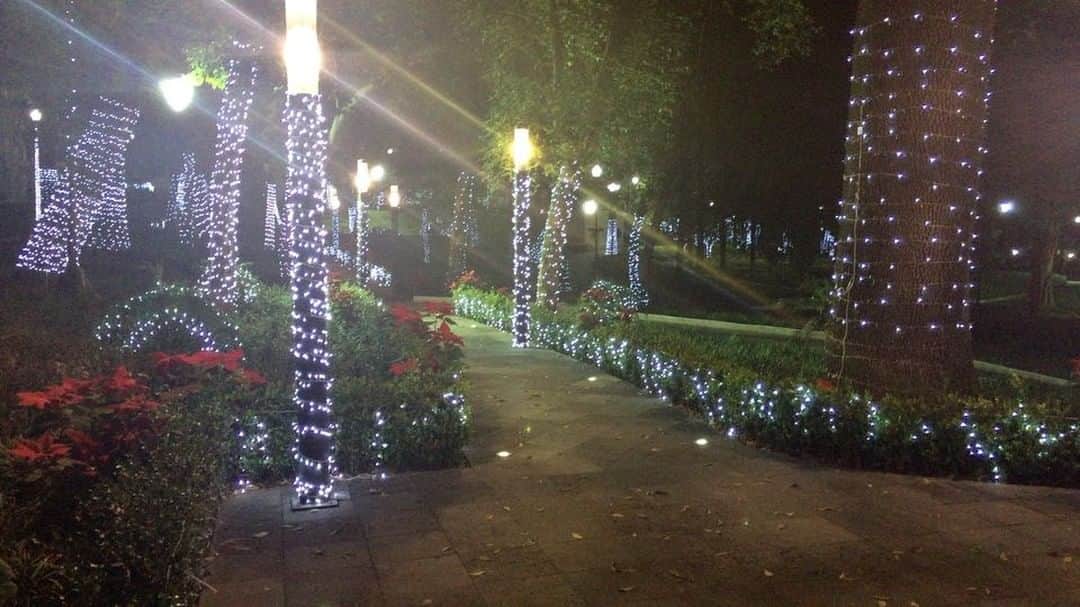 エンリケ・ペーニャ・ニエトのインスタグラム：「Navidad en Los Pinos 🎄」