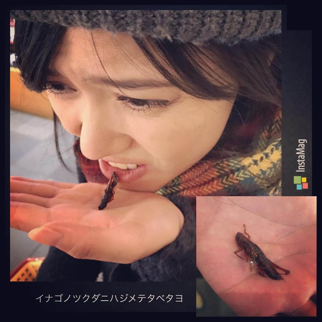 三島ゆかりさんのインスタグラム写真 - (三島ゆかりInstagram)「イナゴの佃煮初めて食べたよ！！！ #イナゴ #イナゴの佃煮 #虫 #羽 #足 #初実食 #食感 #バリバリ #見た目 #インパクト大 #味 #美味しいやないか #でも #2匹目はいいかな」12月20日 13時36分 - apple340