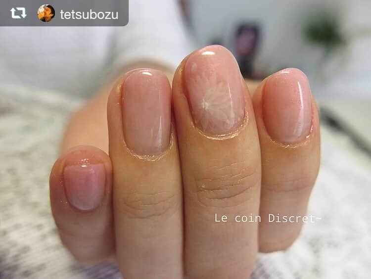 シャイニージェルのインスタグラム